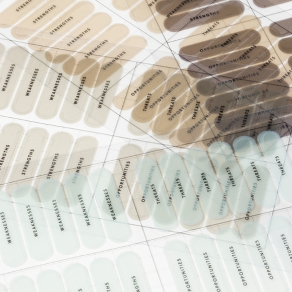 EVERYDAY CARRYALL POUCH + Ristretto LINER - LIMITED EDITION 25 - Picture 9 of 16